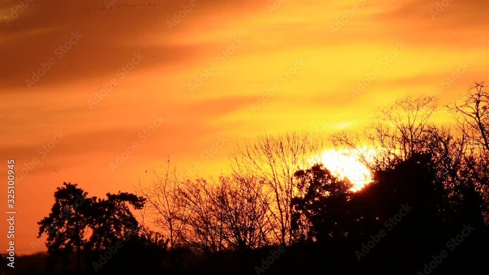 Sunset Majestic. Dramatic sky with colorful clouds. Flight of a group of migrating birds. Wild life over the forest. Sunset Majestic. Dramatic sky with colorful clouds. Flight of a group of migrating birds. Wild life over the forest.