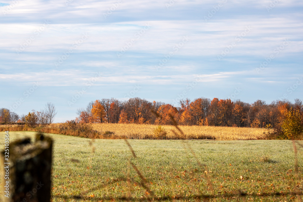 Naklejka premium Paysage automne des Cantons de l'Est, Estrie, Québec Canada