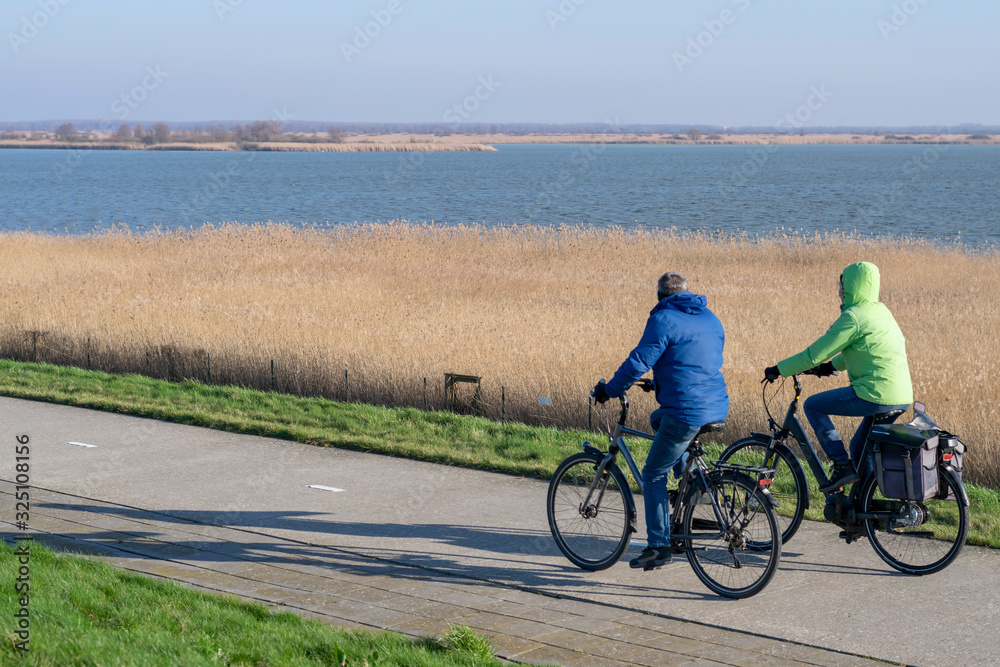Obraz premium Sports and active pensioners husband and wife travel bicycles in nature against the background of a spring landscape in Nature reservation Oostvaardersplassen in Almere, Flevoland, The Netherlands.