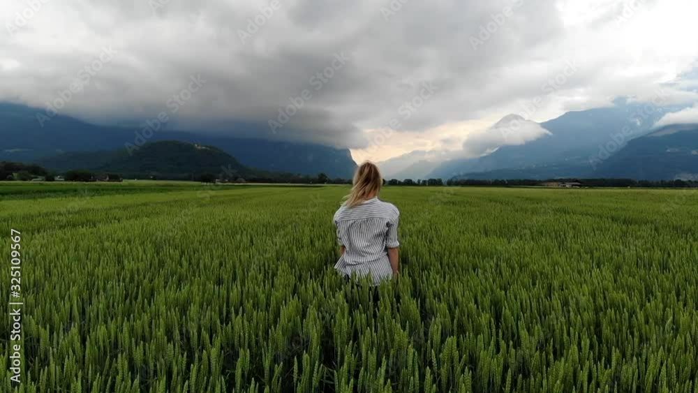 Time stopped. Back view of young caucasian female standing in field with green wheat enjoy freedom in nature and tranquility, woman tourist standing in meadow fluttering by wind under sky before rain Time stopped. Back view of young caucasian female standing in field with green wheat enjoy freedom in nature and tranquility, woman tourist standing in meadow fluttering by wind under sky before rain