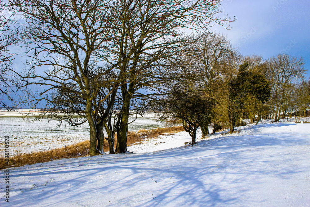 Fototapeta premium winter walk on a snow covered rural landscape on a sunny day