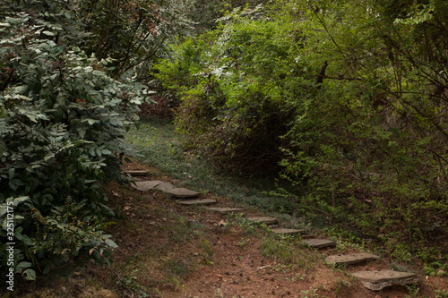 Stone pathway through the bushes