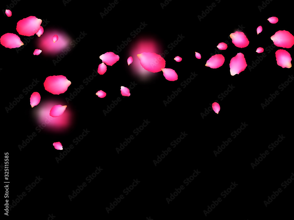 Rosy marvelous petals flying over black background. Japanese cherry spring tree blossom parts confetti. Flower petals vector illustration for Valentine's Day. Seasonal wallpaper.