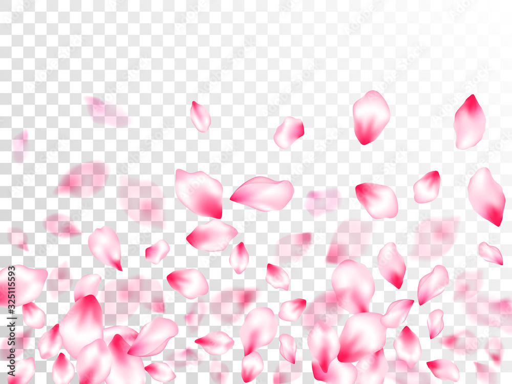 Spring tree flowers parts, airy flying petals Spring tree flowers parts, airy flying petals