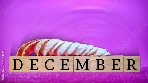 inspirational time concept - word december on wooden blocks with seashells in purple vintage background photo