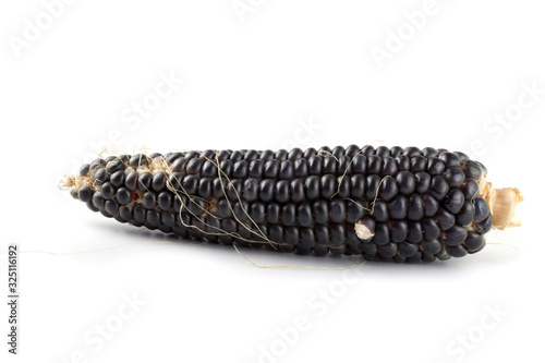 Black corn isolated on white