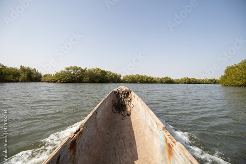 Blick aus Einbaum auf Mangrovenlandschaft in der Casamance, Senegal