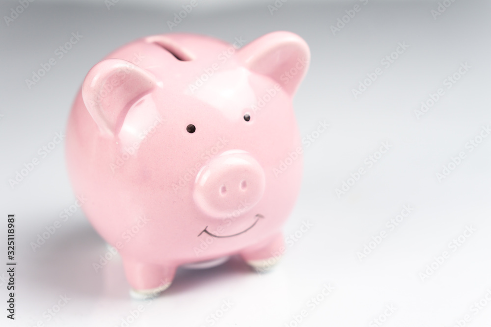 Pink piggy bank on white background with reflection