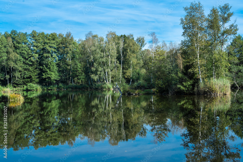 Moorsee im Pfrungener-Burgweiler Ried