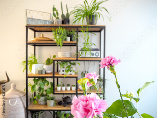 Light interior with an industrial open shelf cupboard filled with numerous house plants in pots creating a green interior