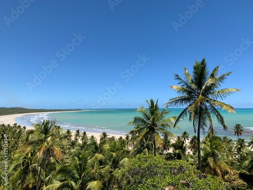 A secret beach with turquoise water surrounded by coconut trees near Maceio, in AlagoasState, Brazil 