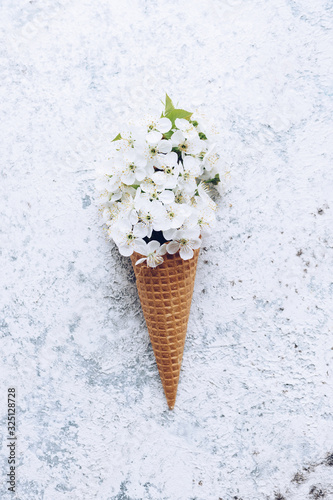 Ice cream cone with white cherry blossom