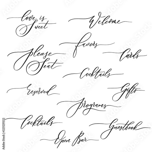 Wedding calligraphic inscriptions -  welcome,open bar, please seat, reserved, gifts, cards, programs.