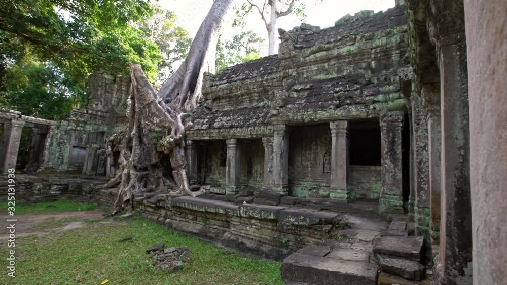 4K, Preah Khan temple with strangler fig. Famous spung tree growing in temple ruins of Cambodia. Tetrameles nudiflora. Angkor Thom with ancient architecture of Cambodia. Tourist attraction of Asia-Dan 4K, Preah Khan temple with strangler fig. Famous spung tree growing in temple ruins of Cambodia. Tetrameles nudiflora. Angkor Thom with ancient architecture of Cambodia. Tourist attraction of Asia-Dan