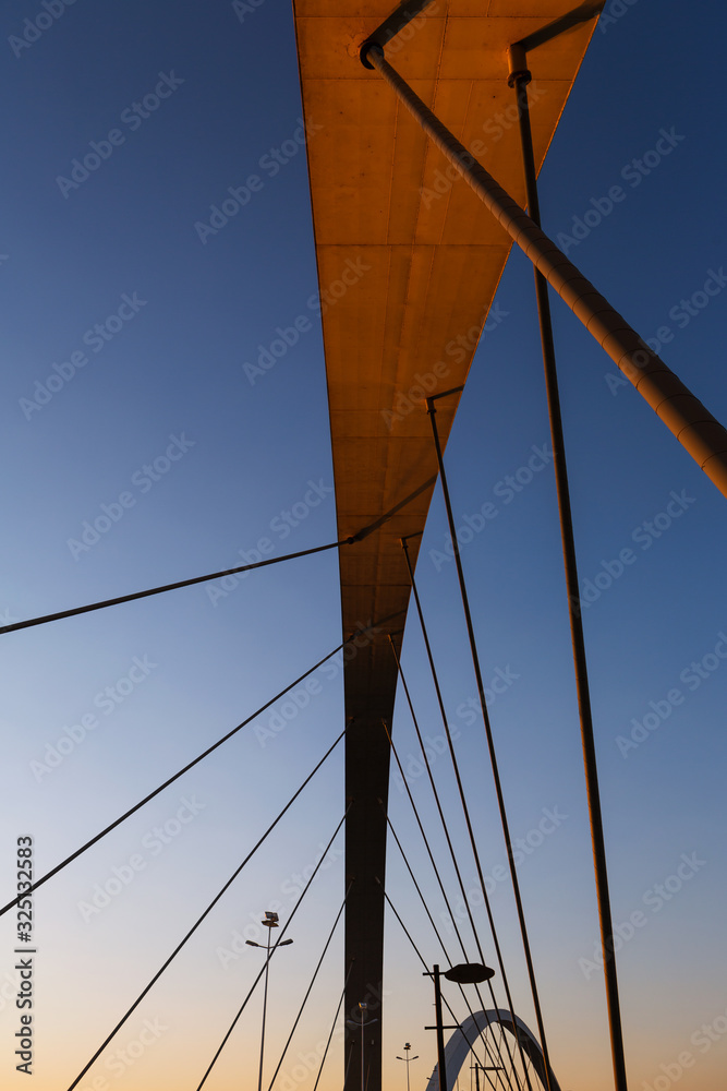 Obraz premium Bridge over the artificial lake in Brasilia.