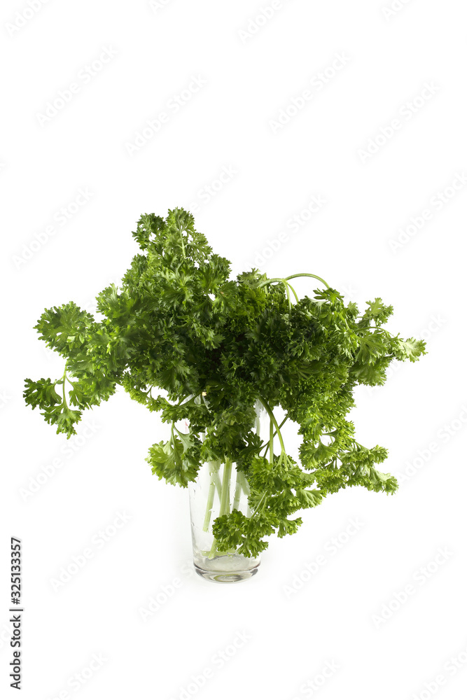 Fototapeta premium Parsley isolated on white