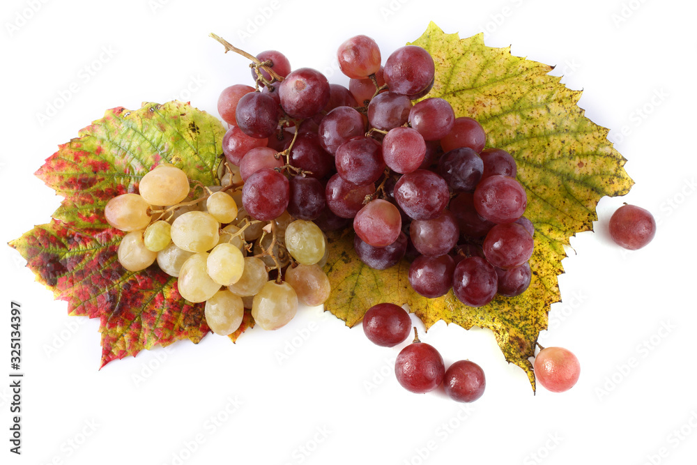 Grape on autumn leaves. Different color grape