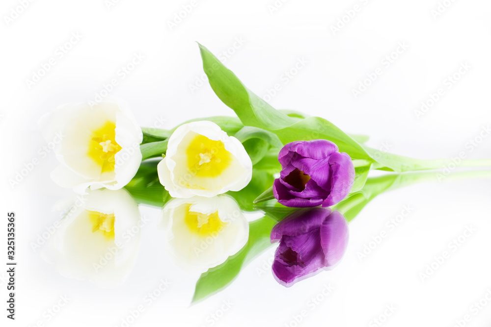 Naklejka premium White and lilac tulips on a white background are reflected on the mirror table. Congratulation concept card for Women's Day, mother's day, spring flowers, greeting. Copy space