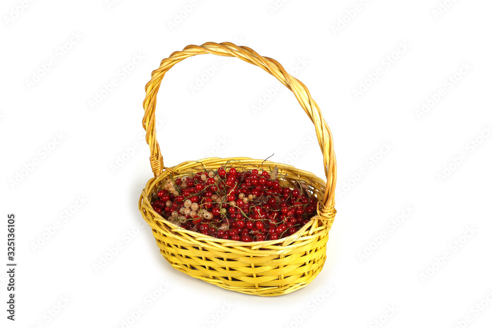 Red and white currant on basket Red and white currant on basket