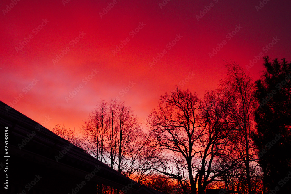 Red sunrise with silhouettes of trees