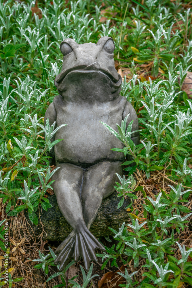 Fototapeta premium Gardenfigure of a frog sitting in a bed of green plants