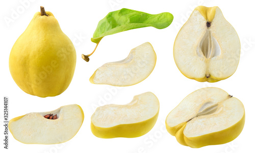 Photographie Isolated cut quince collection