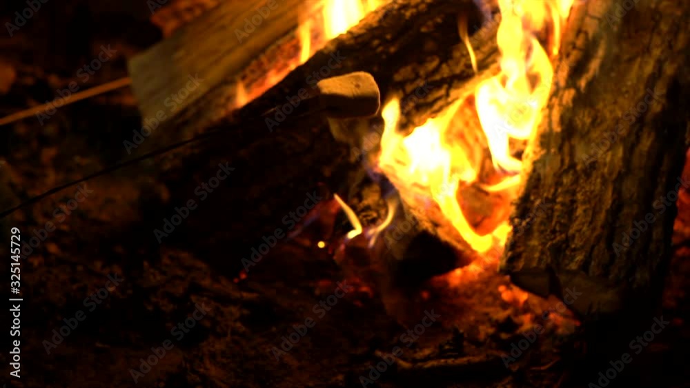 Sweet marshmallows heated on campfire. Static shot Sweet marshmallows heated on campfire. Static shot