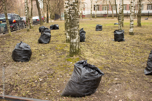 Spring cleaning on city lawns. Lots of trash bags and foliage