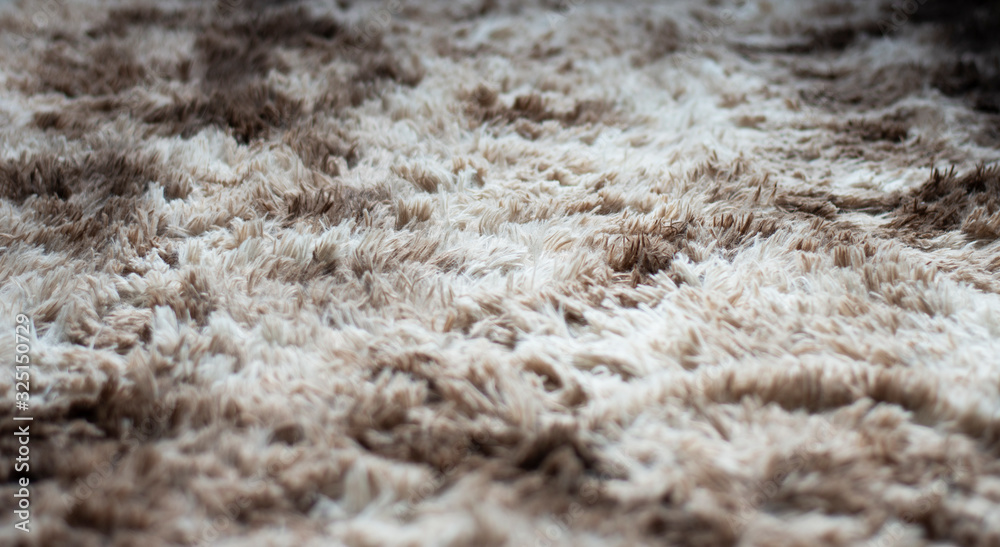 Carpet Carpet