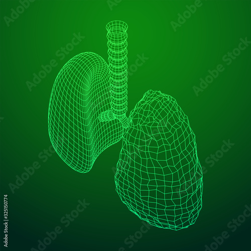 Healthy and sick lung with trachea bronchi internal organ human. Pulmonology medicine science technology concept. Wireframe low poly mesh vector illustration