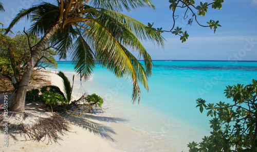 Dream beach with white sand and turquoise waters at Thoddoo island  Maldives
