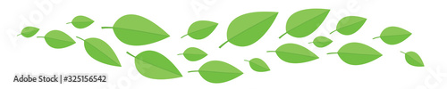 green leaves fly from left to right. A wave of flying leaves isolated on white background.