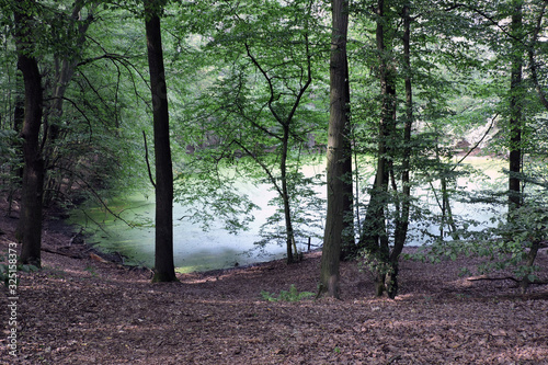 A lake in a mateor crater in a forest in the Morasko meteorite nature reserve, Poland photo