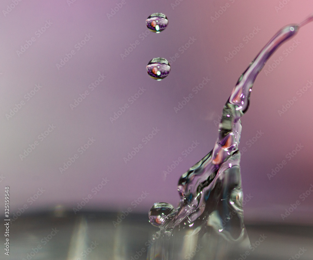 Krople wody w makro na fioletowym tle - obrazy, fototapety, plakaty 