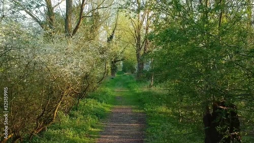English countryside footpath