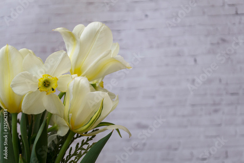 Fototapeta Naklejka Na Ścianę i Meble -  white daffodils collected in a bouquet on a light brick background. There is a place for text. Spring concept.