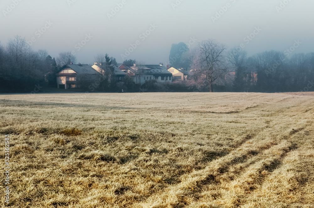 Fototapeta premium Fog morning field forest frost house