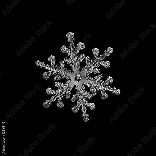 Snowflake isolated on black background. Macro photo of real snow crystal: small stellar dendrite with glossy surface, complex inner details and six flat, elegant arms.