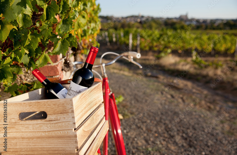 Vieux vélo rouge dans les vigne en France. Vieux vélo rouge dans les vigne en France.