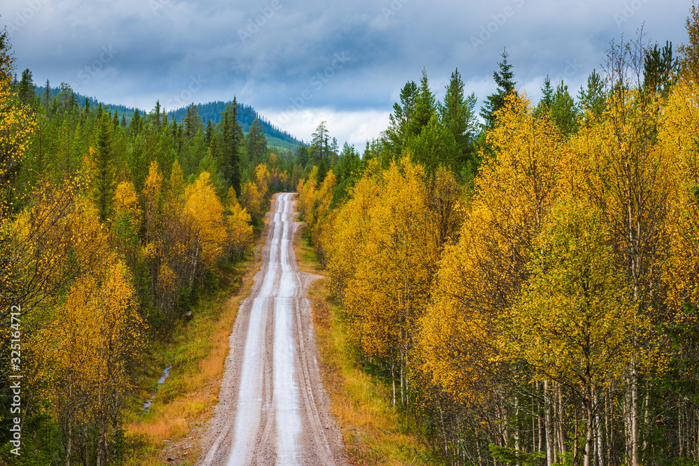 Road through forest, Dalarna, Sweden