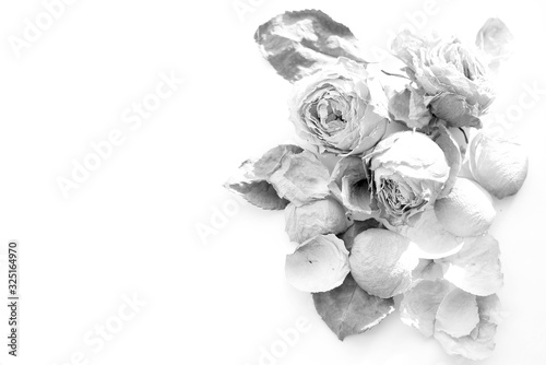 Composition of dried dusty pink rose flowers and rose leaves. Color and black and white image.