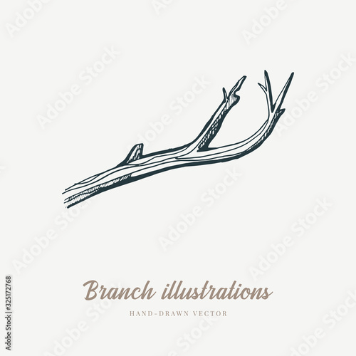 Vintage vector spring card. Birds on a branch. Monochrome. Line drawings, ink drawing, hand drawn illustration for poster, social media, post, wedding, textile, design template.