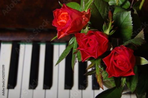 Piano Key and rose close up shot