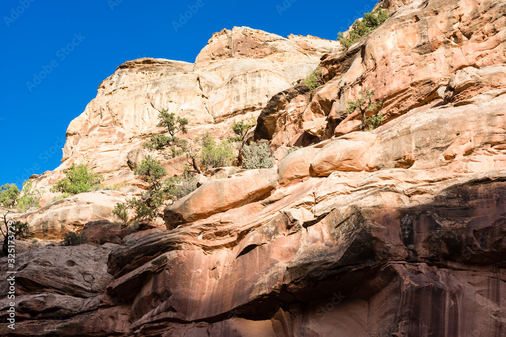Fototapeta premium Sunset in Capitol Gorge, Capitol Reef National Park - Utah, USA