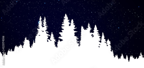 Night sky over the winter forest. Winter night landscape. Spruce forest in winter