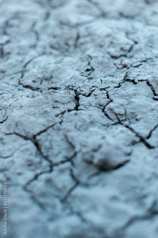 Fototapeta premium Naturaleza