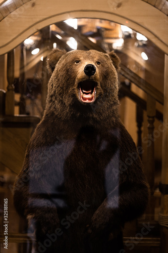 Obraz na płótnie brown bear, bear in house of man, scarecrow. Photography of taxidermy stuffed bear's muzzle. Hunting trophies. Stuffed animals to order. Hunting theme. w salonie