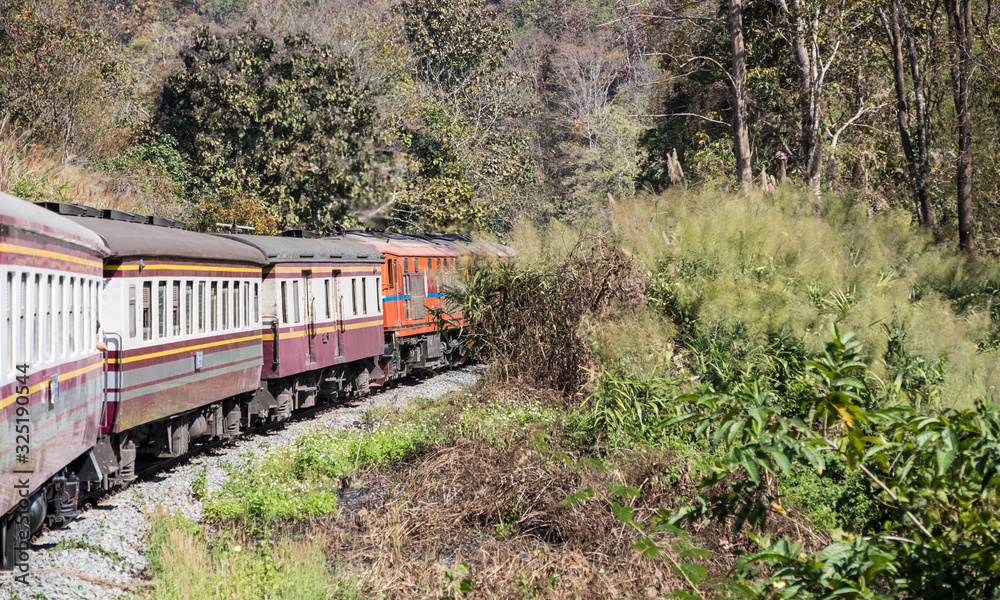Express train is going to the high mountain with the diesel electric locomotive.