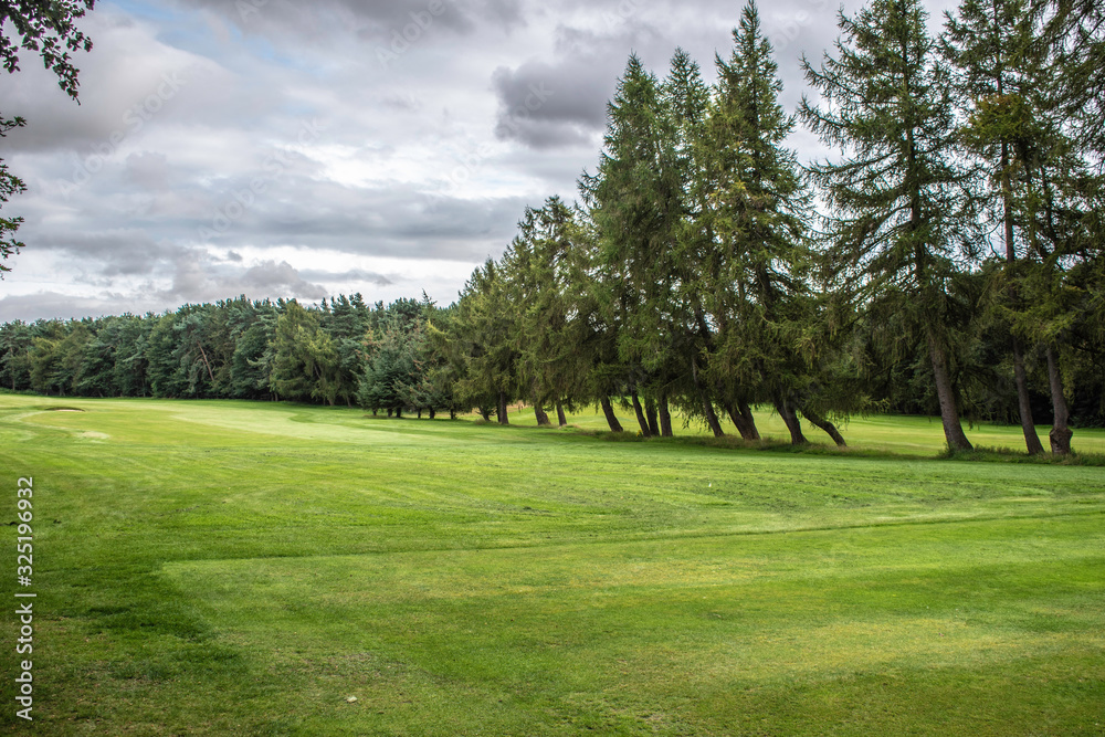 Obraz premium golf course in park