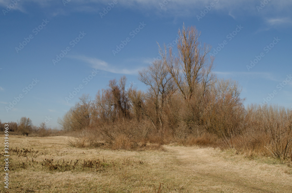Panorama sleeve of the Danube River near Novi Sad Panorama sleeve of the Danube River near Novi Sad